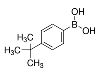 4-叔丁基苯硼酸，97% 