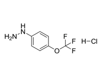 4-三氟甲氧基苯肼盐酸盐，98%（HPLC） 