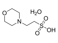 2-(N-<em>吗</em>啉）乙磺酸一水合物，99%