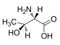 L-别苏氨酸，95%(HPLC) 