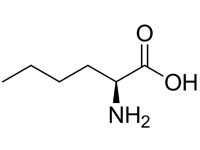 L-正白氨酸，98%（HPLC) 