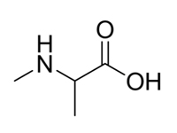 N-甲基-DL-丙氨酸，98%（HPLC） 