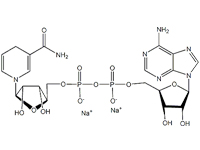 <em>还</em>原型辅酶I 二钠(β-NADH), 95%