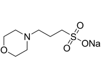 3-（N-吗啡啉）丙磺酸钠，99.5% 