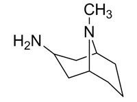 内-3-胺-<em>9</em>-甲基-<em>9</em>-氮杂双环[3,3,1]壬烷